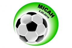 MICHA